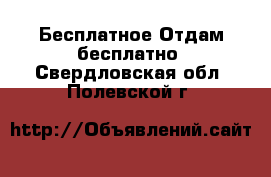 Бесплатное Отдам бесплатно. Свердловская обл.,Полевской г.